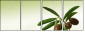 11107716
