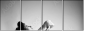 11330269
