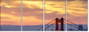 115585568