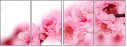 12025476