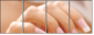 12285447