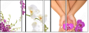 12605411