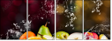 126510468
