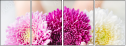 127926018