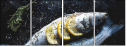 129092873