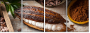 129146737