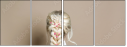 136203508