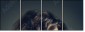 137653547