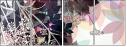 142853422