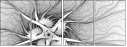 144787196
