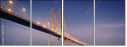 149714558