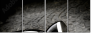 16438072