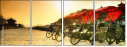 16482031