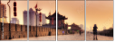 16482076