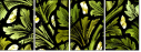 16903361