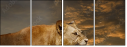 17277699