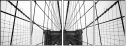 176017620