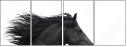 17865105
