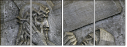 20059102