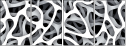 20505205