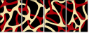 20655460