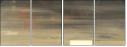 21155951