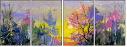 21414524