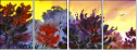 21415179