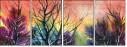 21415554