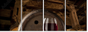 21442815
