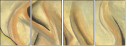 21450824