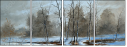21605246