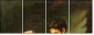 21653701