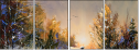 21655913