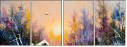 21659571