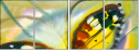 21683658