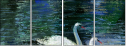 21687116