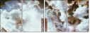 217692182