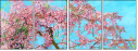 21924091