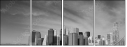 22043006