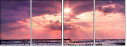 22254013