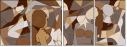 223892600