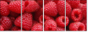 22816665