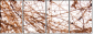 23639472