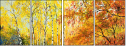 24149025
