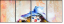 24495257