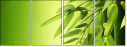 24604585