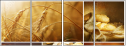 24679750