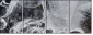 25109455