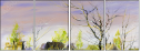 25136666